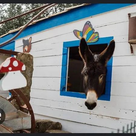 Dave Place - 3 Bedroom House