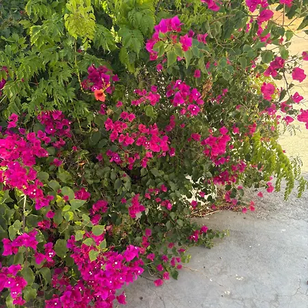 Dave Place - 3 Bedroom House Nyaraló